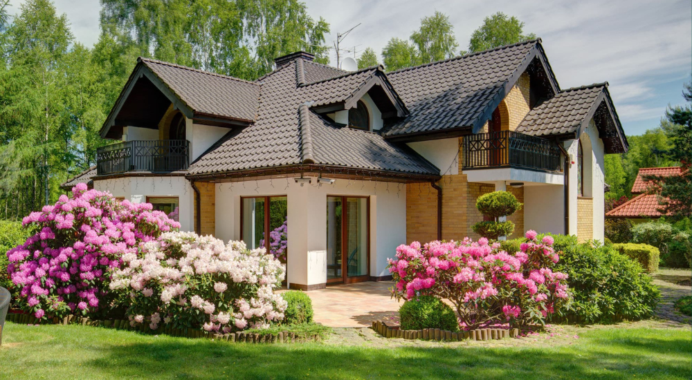 экологичная дача.png