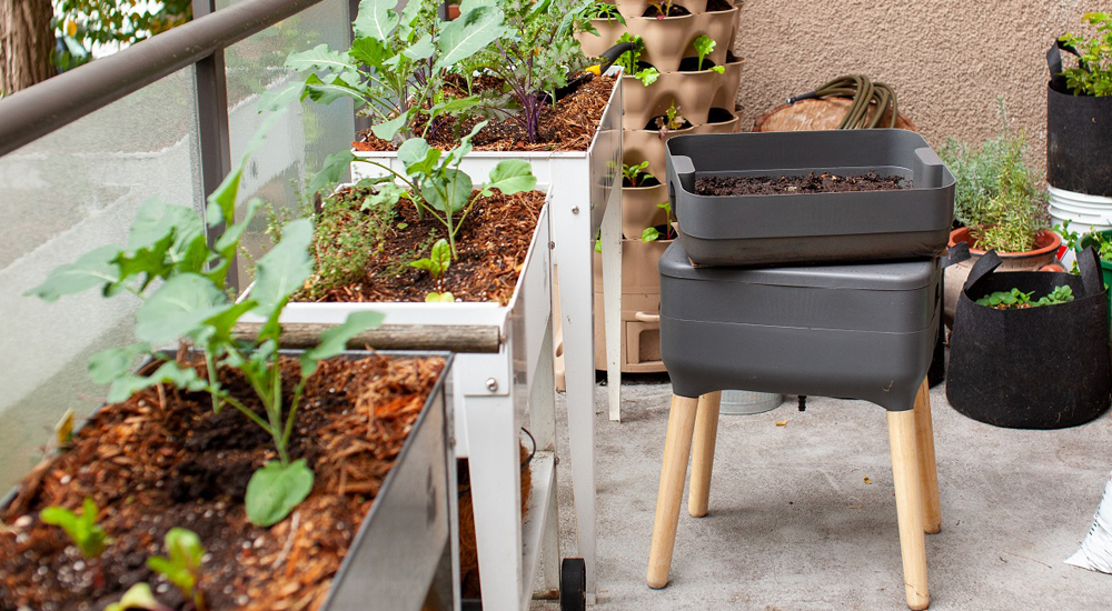 удобрение для цветов из отходов.jpg