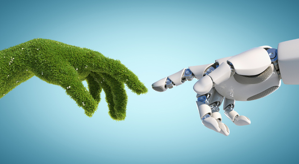 ECOLOGY EXPO 2025.jpg