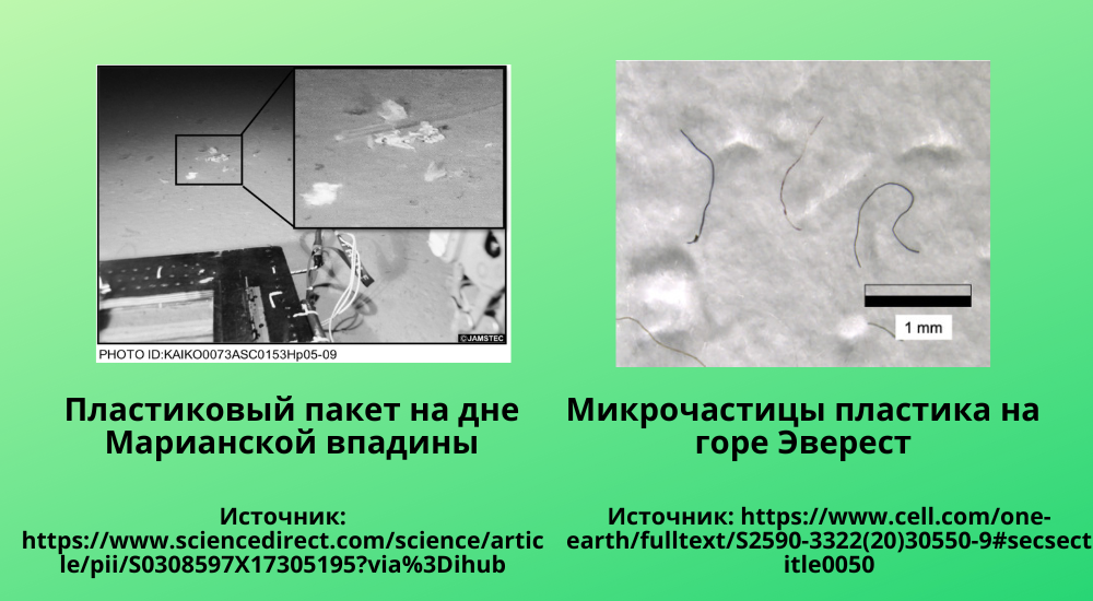 Сайт 1000х550 (2).png