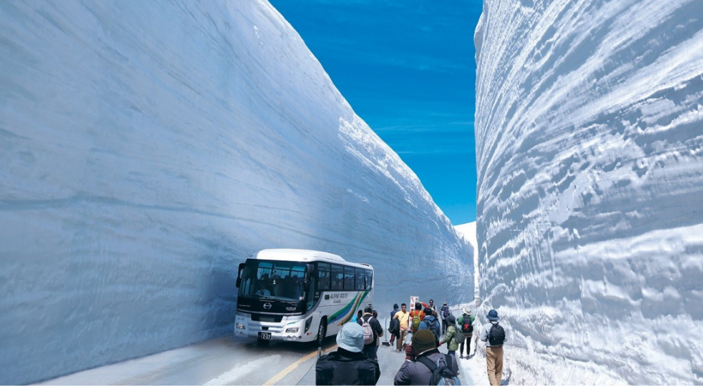 Сайт 1000х550 (93).png