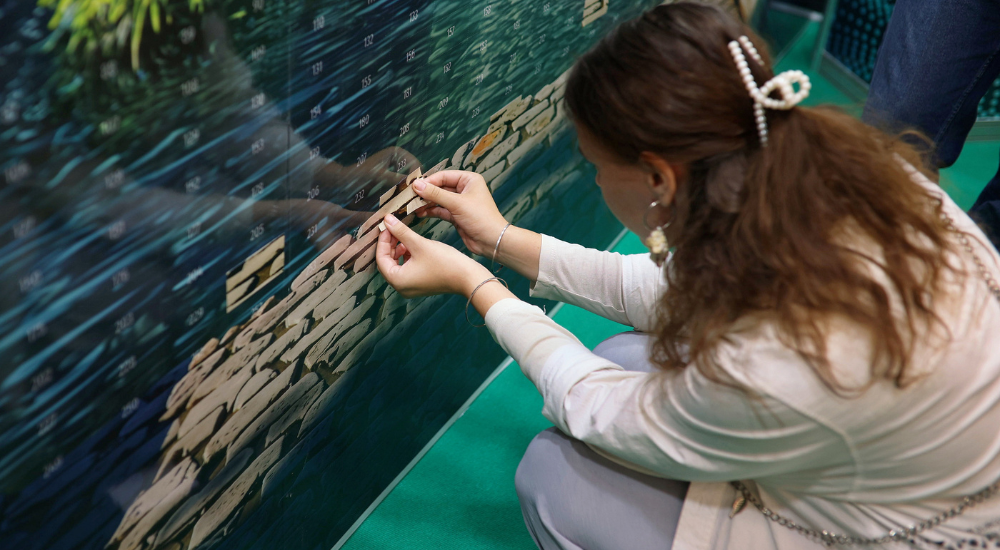 мост в экогород.png