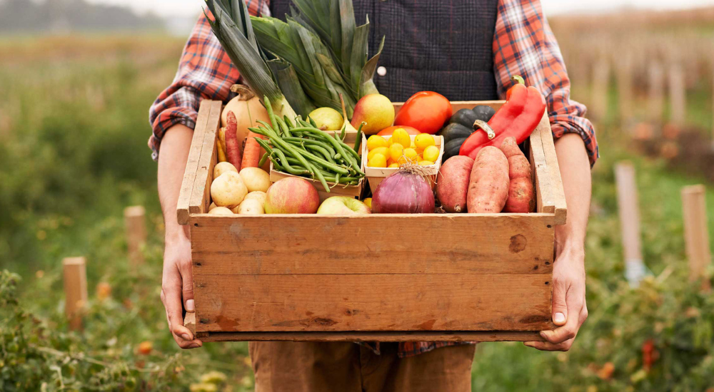 кому отдать картошку.png