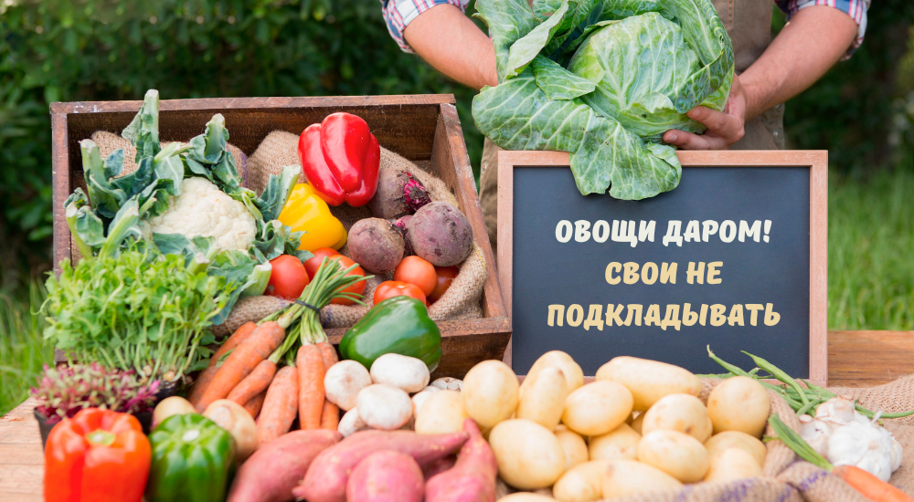 foodsharing в Беларуси.png