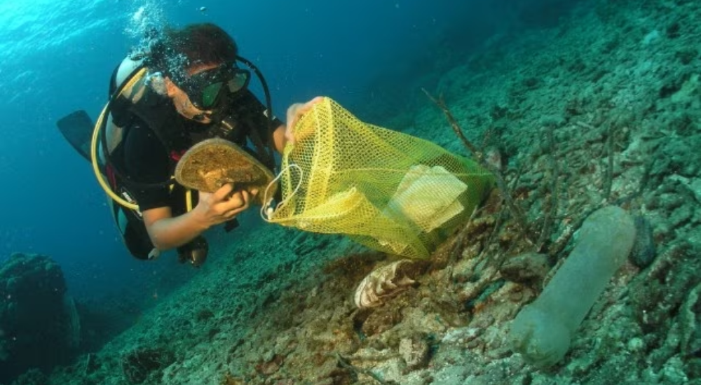 мусорный дайвинг