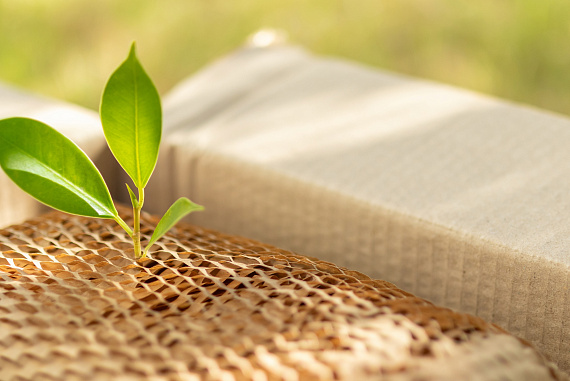 Экологичная упаковка для бизнеса: как выбрать материалы и наладить переработку